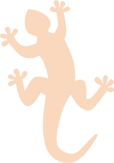 Gecko Melingo