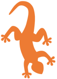 Gecko Melingo